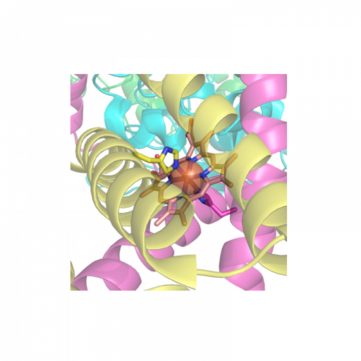 His Tag Antibody (Mouse Monoclonal) Antibodies Molecular Depot