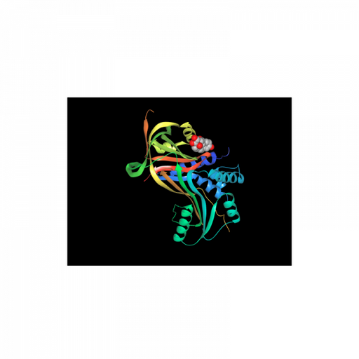 Sheep Gamma Globulins Fraction Antibodies Molecular Depot