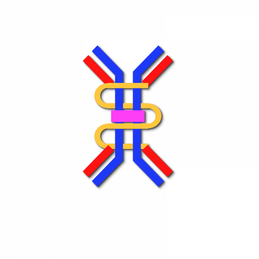 IgA Antibody: Anti Human IgA Antibody Monoclonal Antibodies Molecular Depot
