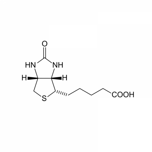 Biotin Antibody (Mouse Monoclonal) Antibodies Molecular Depot