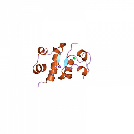 Insulin Antibody Monoclonal (Human) Antibodies Molecular Depot