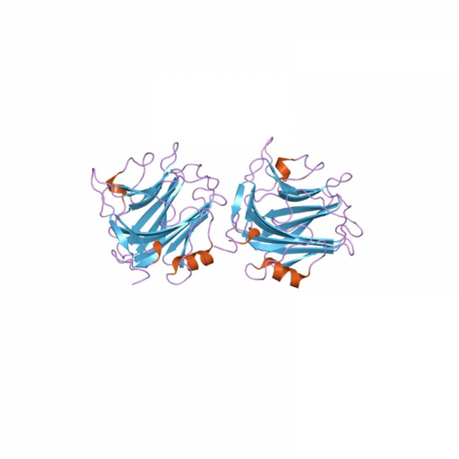 SAA Antibody Polyclonal (Serum Amyloid Protein A1) Antibodies Molecular Depot
