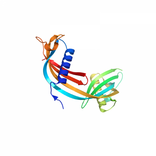 Cystatin C Antibody Antibodies Molecular Depot