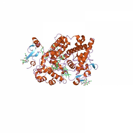 MPO Antibody Antibodies Molecular Depot