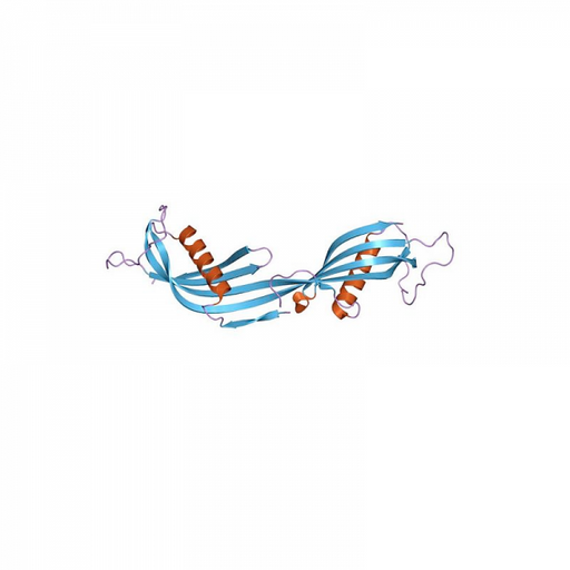 Cystatin C Antibody Monoclonal Antibodies Molecular Depot