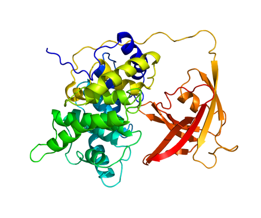 Intrinsic Factor Antibody Monoclonal Antibodies Molecular Depot