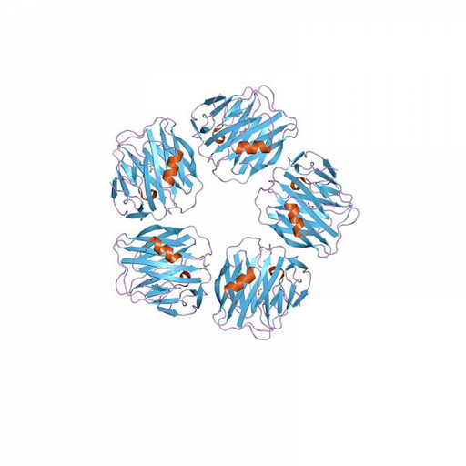 SAA Human Serum Amyloid A1 Recombinant Proteins Molecular Depot