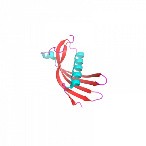 Cystatin C Protein Recombinant Proteins Molecular Depot