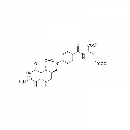 Folate Binding Protein FBP Bovine Proteins Molecular Depot