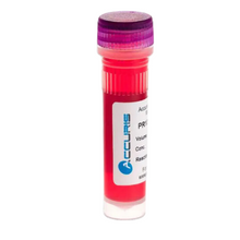 Standard Taq 2X Red Dye Master Mix