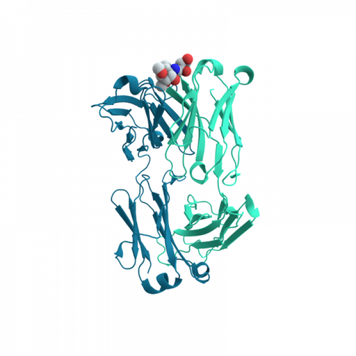 HAMA Blocking Reagent Antibodies Molecular Depot