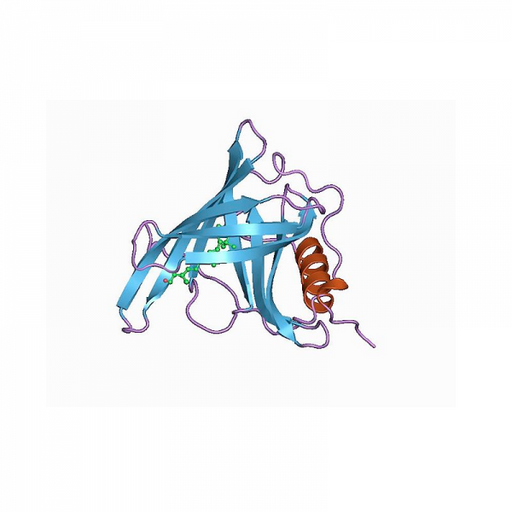 Retinol Binding Protein Antibody Antibodies Molecular Depot