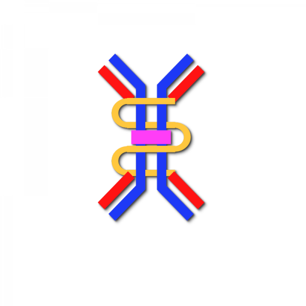 IgA Antibody: Anti Human IgA Antibody Monoclonal Antibodies Molecular Depot