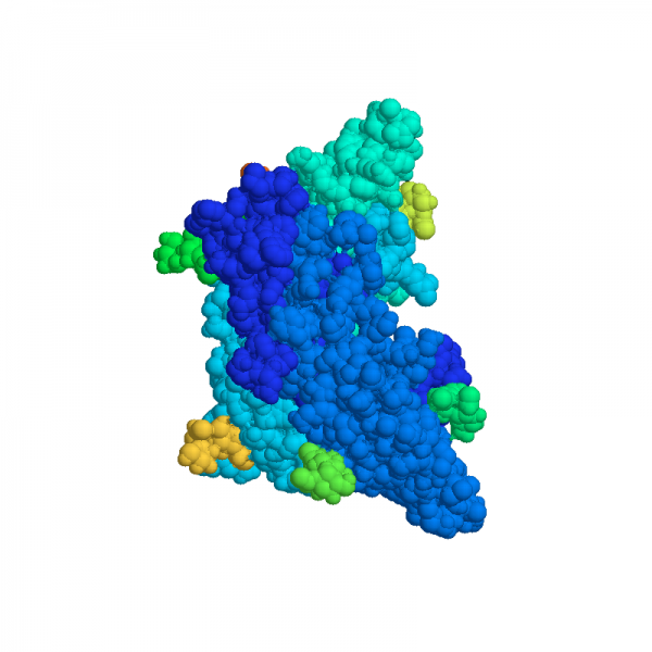 FSH Antibody (Monoclonal from Mouse) Antibodies Molecular Depot