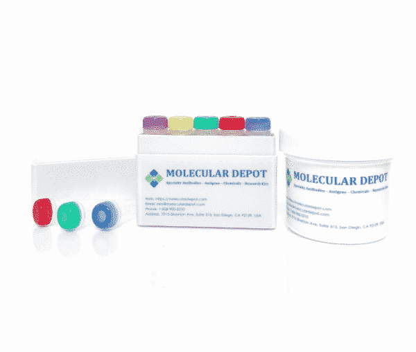 Ribonucleotide Triphosphates - 100 mM (rUTP) Molecular Biology Molecular Depot