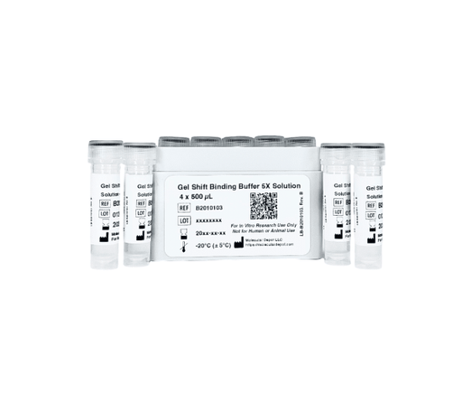 Gel Shift Binding Buffer 5X Solution Buffers & Solutions Molecular Depot