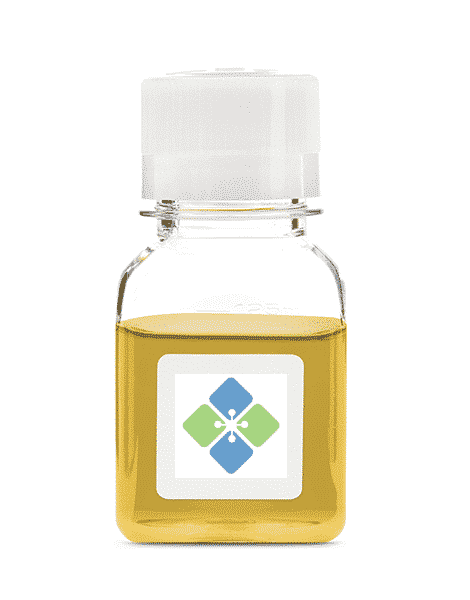 Antinuclear Antibody Homogeneous Positive Plasma Serum & Plasma Molecular Depot