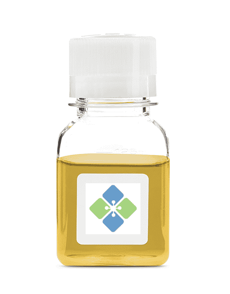 Normal Bovine Serum IgG-Free Serum & Plasma Molecular Depot