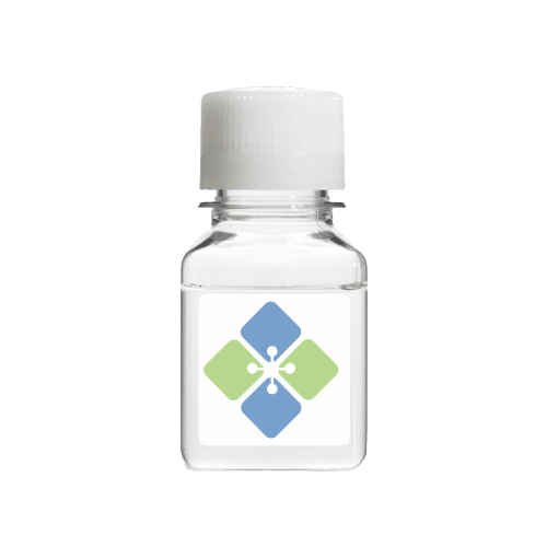Human Methylmalonyl CoA Epimerase Proteins Molecular Depot