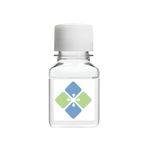 Kovac′s Indole Reagent Molecular Biology Molecular Depot