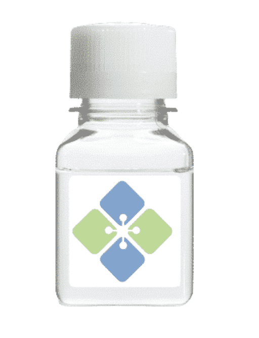Polystyrene Particles with Carboxyl Groups (100 nm) Conjugates Molecular Depot