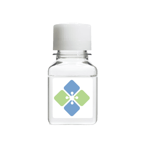 p70S6KL1 Protein-GST Fusion Proteins Molecular Depot