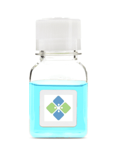 Carboxymethyl Lysine Antibody Conjugated to Agarose Antibodies Molecular Depot