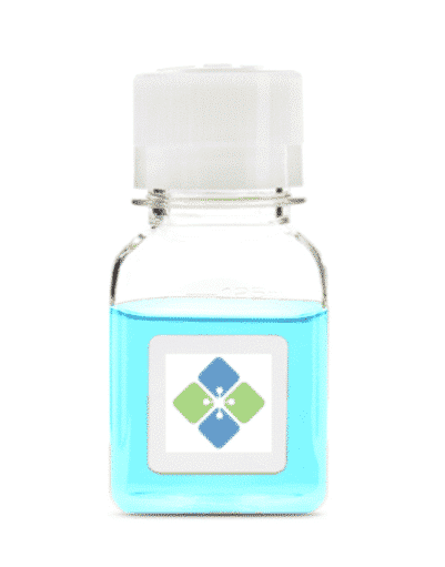 1.2kb Kanamycin Positive Control RNA Molecular Biology Molecular Depot