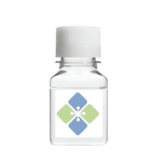 Rabbit Polyclonal ANAPC15 Antibody (Human) Antibodies Molecular Depot