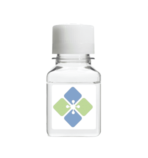 Benzocaine BSA Conjugate Proteins Molecular Depot