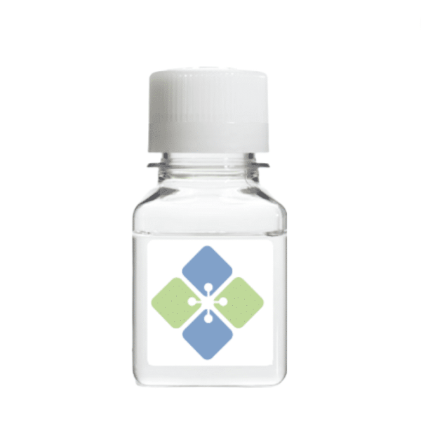 Mouse Recombinant Alpha Synuclein Pre-formed Fibrils (Type 1) Proteins Molecular Depot