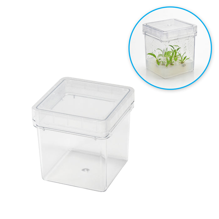 MTC Bio Plant Tissue Culture Boxes – Autoclavable Polycarbonate (Magenta™ GA-7 Comparable) Plant Culture Boxes MTC Bio