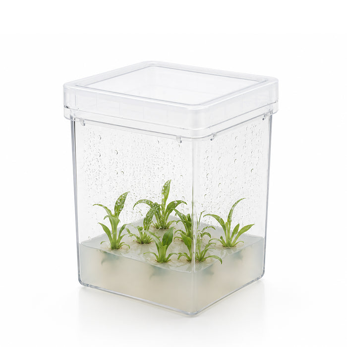 MTC Bio Plant Tissue Culture Boxes – Autoclavable Polycarbonate (Magenta™ GA-7 Comparable) Plant Culture Boxes MTC Bio