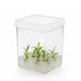 MTC Bio Plant Tissue Culture Boxes – Autoclavable Polycarbonate (Magenta™ GA-7 Comparable) Plant Culture Boxes MTC Bio