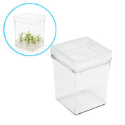 MTC Bio Plant Tissue Culture Boxes – Autoclavable Polycarbonate (Magenta™ GA-7 Comparable) Plant Culture Boxes MTC Bio