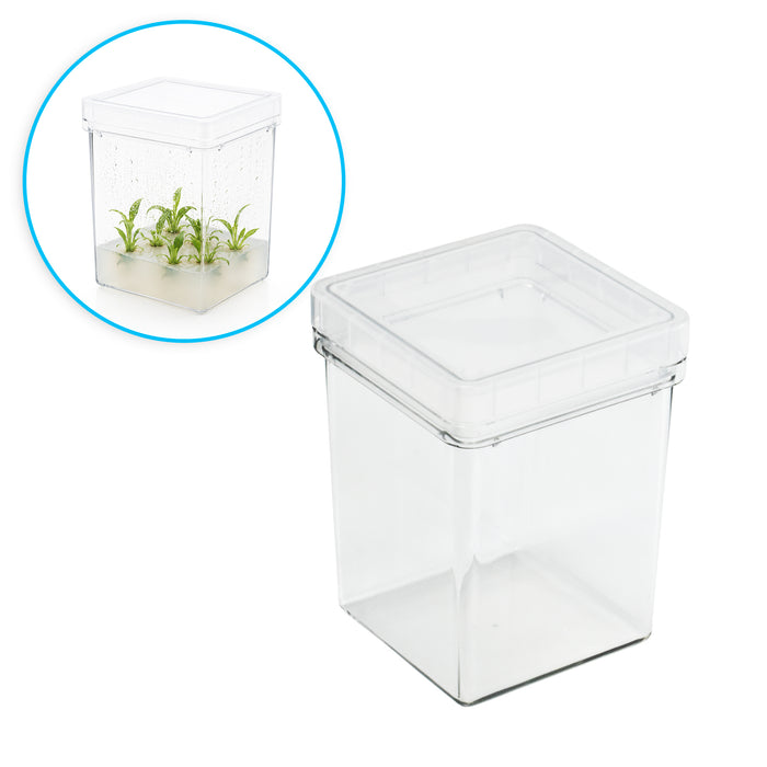MTC Bio Plant Tissue Culture Boxes – Autoclavable Polycarbonate (Magenta™ GA-7 Comparable) Plant Culture Boxes MTC Bio