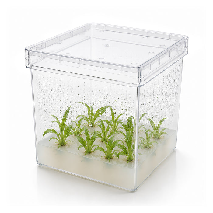 MTC Bio Plant Tissue Culture Boxes – Autoclavable Polycarbonate (Magenta™ GA-7 Comparable) Plant Culture Boxes MTC Bio