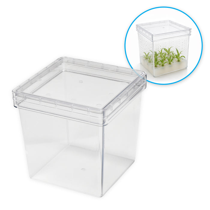 MTC Bio Plant Tissue Culture Boxes – Autoclavable Polycarbonate (Magenta™ GA-7 Comparable) Plant Culture Boxes MTC Bio
