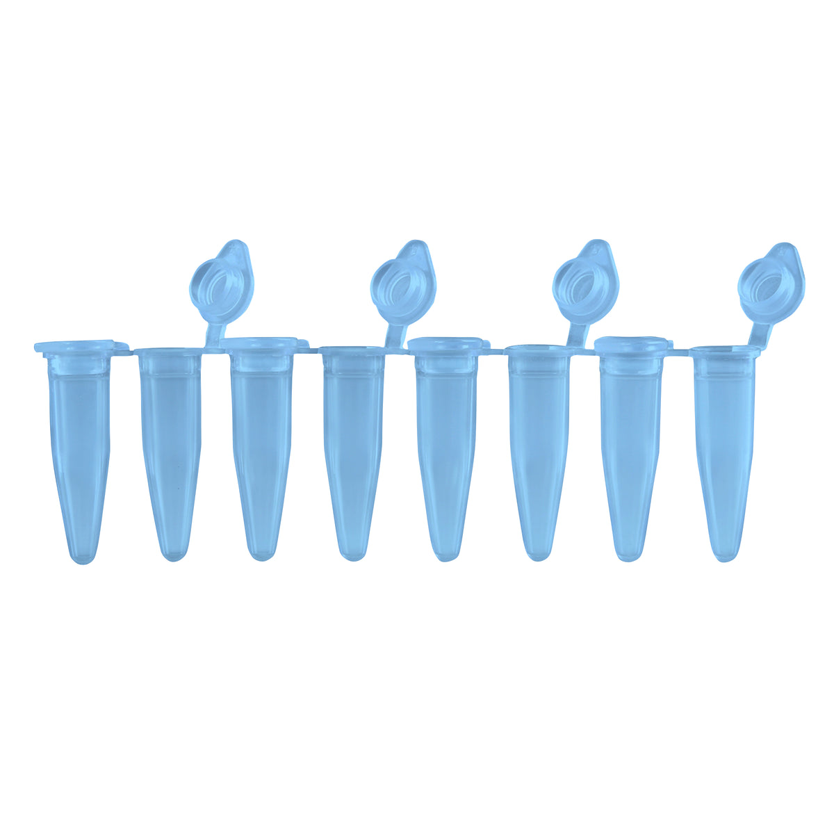 MTC Bio PureAmp™ PCR Tubes & 8-Strips – 0.2 mL, Flat & Domed Caps, 7 Colors P3010-A-B | 8-Strip, 0.2 mL | Attached Flat Caps | Blue | 120 strips pk PCR Tubes MTC Bio