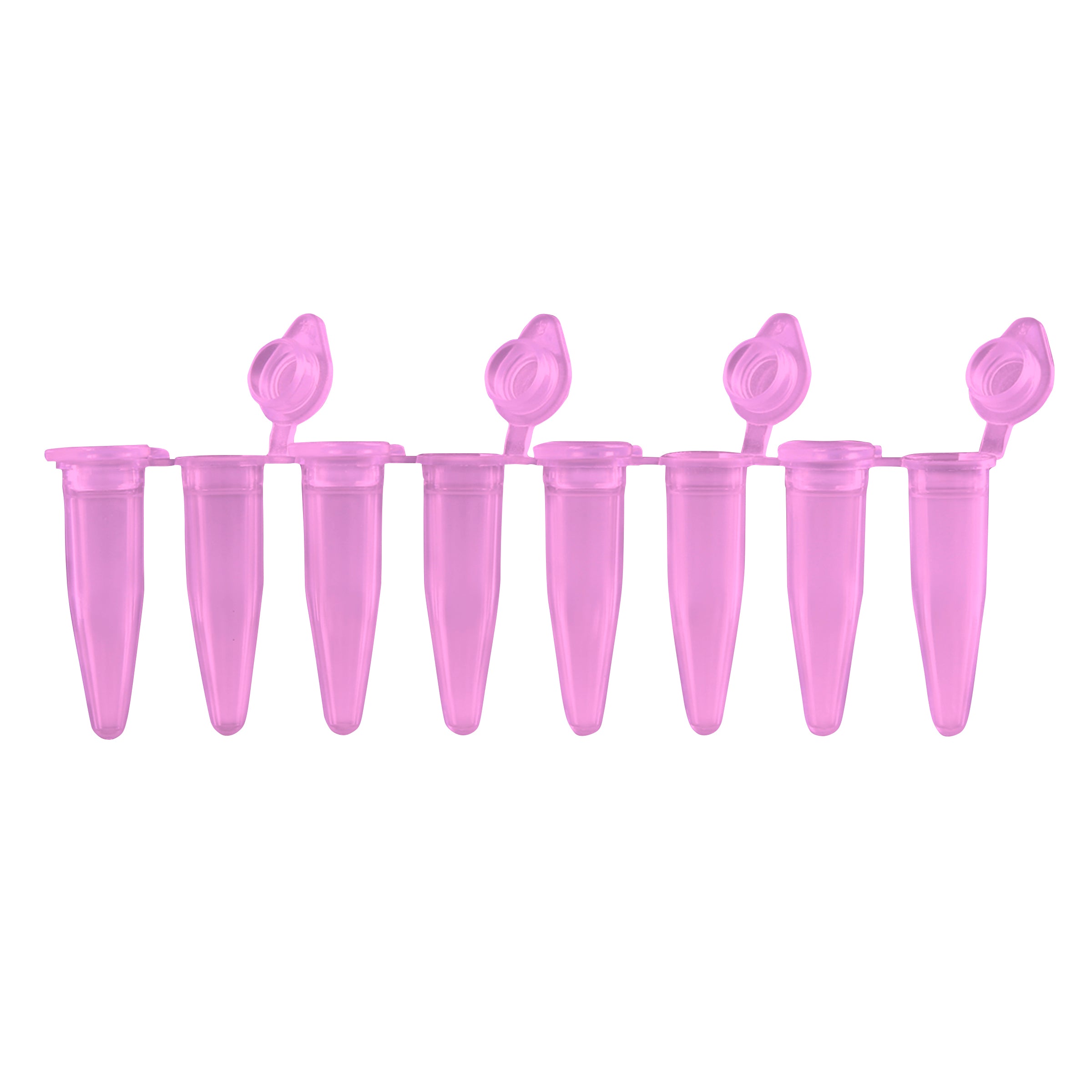 MTC Bio PureAmp™ PCR Tubes & 8-Strips – 0.2 mL, Flat & Domed Caps, 7 Colors P3010-A-P | 8-Strip, 0.2 mL | Attached Flat Caps | Purple | 120 strips pk PCR Tubes MTC Bio