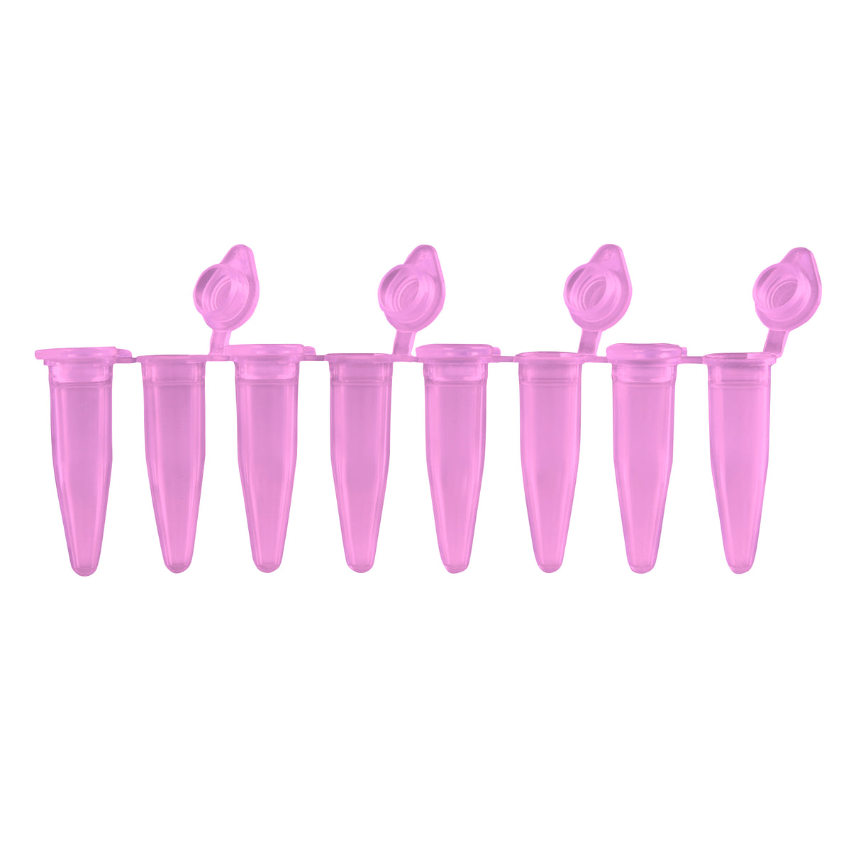 MTC Bio PureAmp™ PCR Tubes & 8-Strips – 0.2 mL, Flat & Domed Caps, 7 Colors P3010-A-P | 8-Strip, 0.2 mL | Attached Flat Caps | Purple | 120 strips pk PCR Tubes MTC Bio