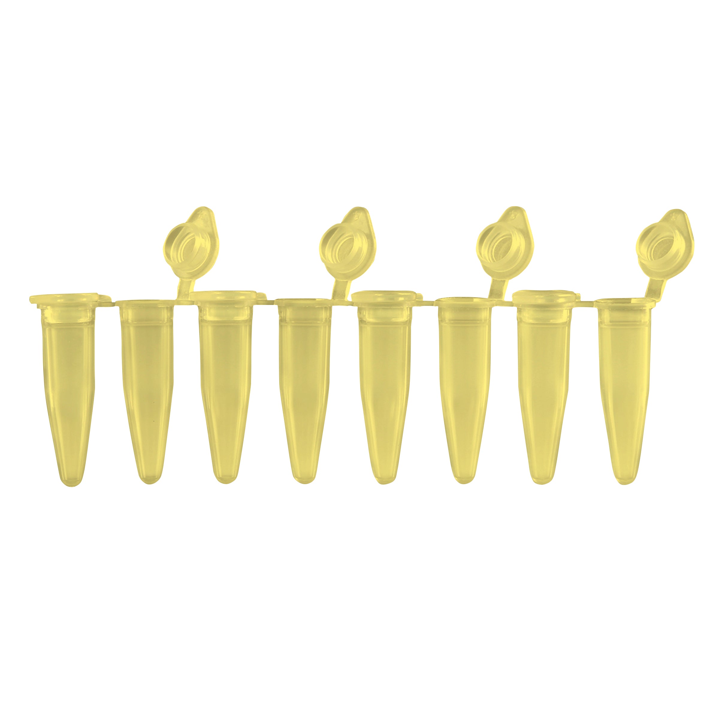 MTC Bio PureAmp™ PCR Tubes & 8-Strips – 0.2 mL, Flat & Domed Caps, 7 Colors P3010-A-Y | 8-Strip, 0.2 mL | Attached Flat Caps | Yellow | 120 strips pk PCR Tubes MTC Bio