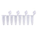 MTC Bio PureAmp™ PCR Tubes & 8-Strips – 0.2 mL, Flat & Domed Caps, 7 Colors P3010-A | 8-Strip, 0.2 mL | Attached Flat Caps | Natural | 120 strips pk PCR Tubes MTC Bio