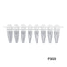 MTC Bio PureAmp™ PCR Tubes & 8-Strips – 0.2 mL, Flat & Domed Caps, 7 Colors P3020 | 8-Strip, 0.2 mL | Separate Domed Cap Strips | Natural | 120 strips pk PCR Tubes MTC Bio
