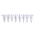 MTC Bio PureAmp P3801-Q 0.1 mL low-profile qPCR 8-strip tubes, clear, with optical cap strips
