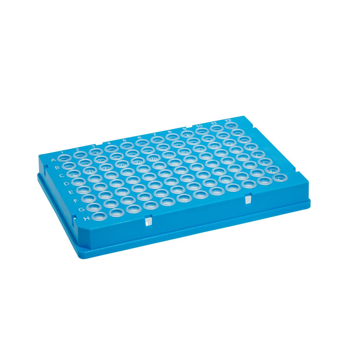 MTC Bio SureFrame P9096-FSC two-component PCR plate, 96-well, 0.15 mL low profile, full skirt, clear wells, blue polycarbonate frame