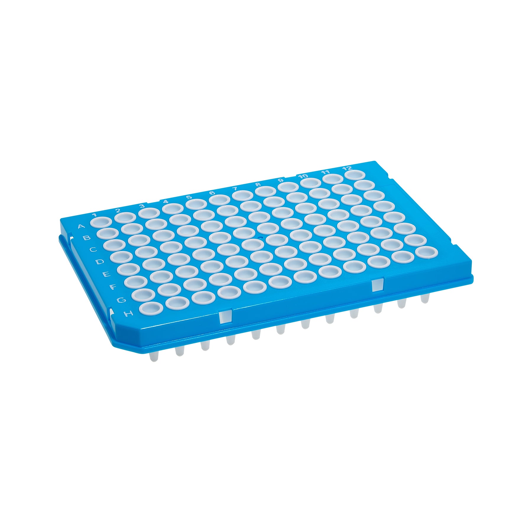 MTC Bio SureFrame P9096-HSW two-component PCR plate, 96-well, 0.25 mL, semi-skirt, white wells, blue polycarbonate frame