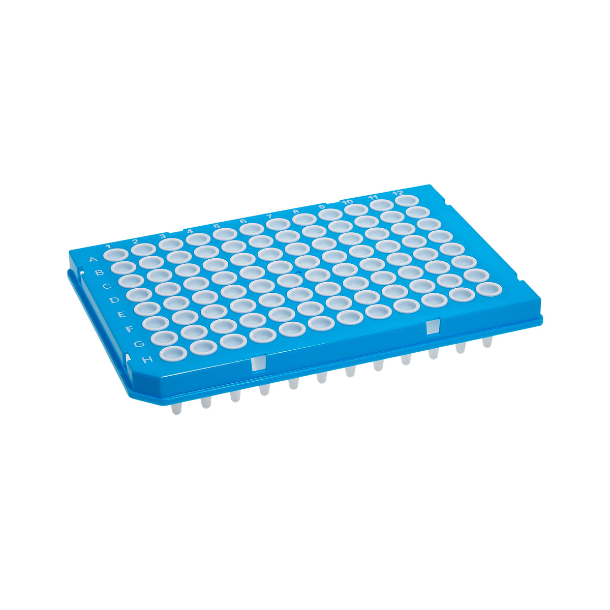 MTC Bio SureFrame P9096-HSW two-component PCR plate, 96-well, 0.25 mL, semi-skirt, white wells, blue polycarbonate frame