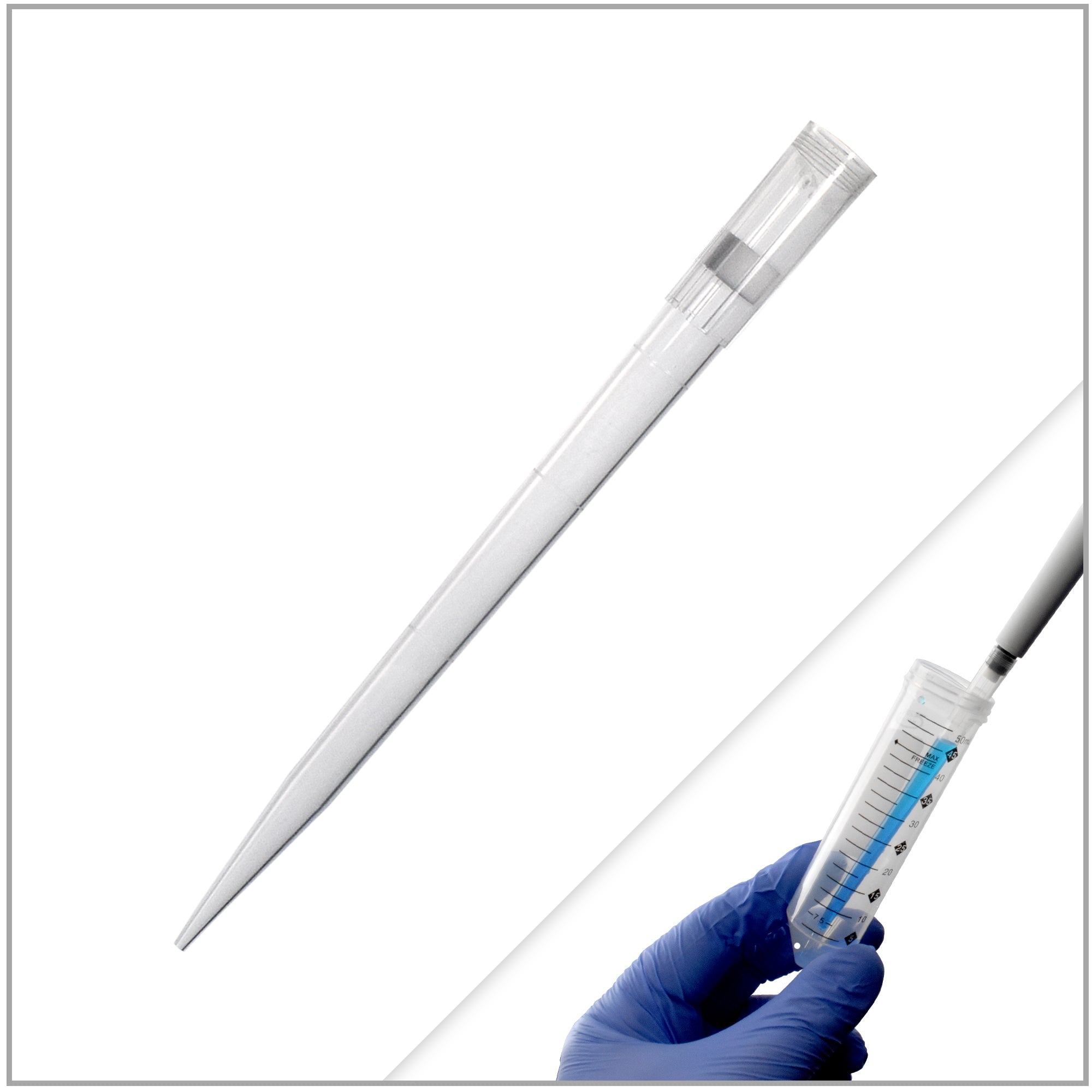 MTC Bio P4331 manufacturer product image