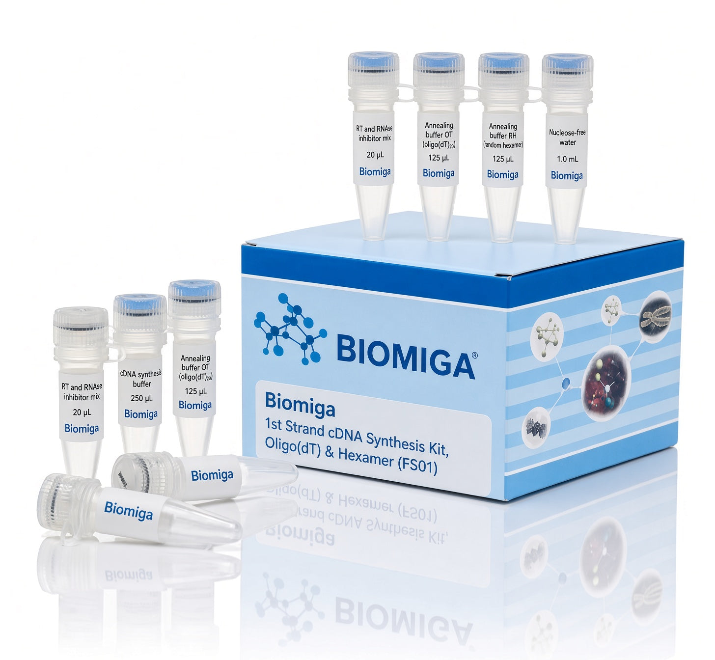 Biomiga 1st Strand cDNA Synthesis Kit, Oligo(dT) & Hexamer (FS01)